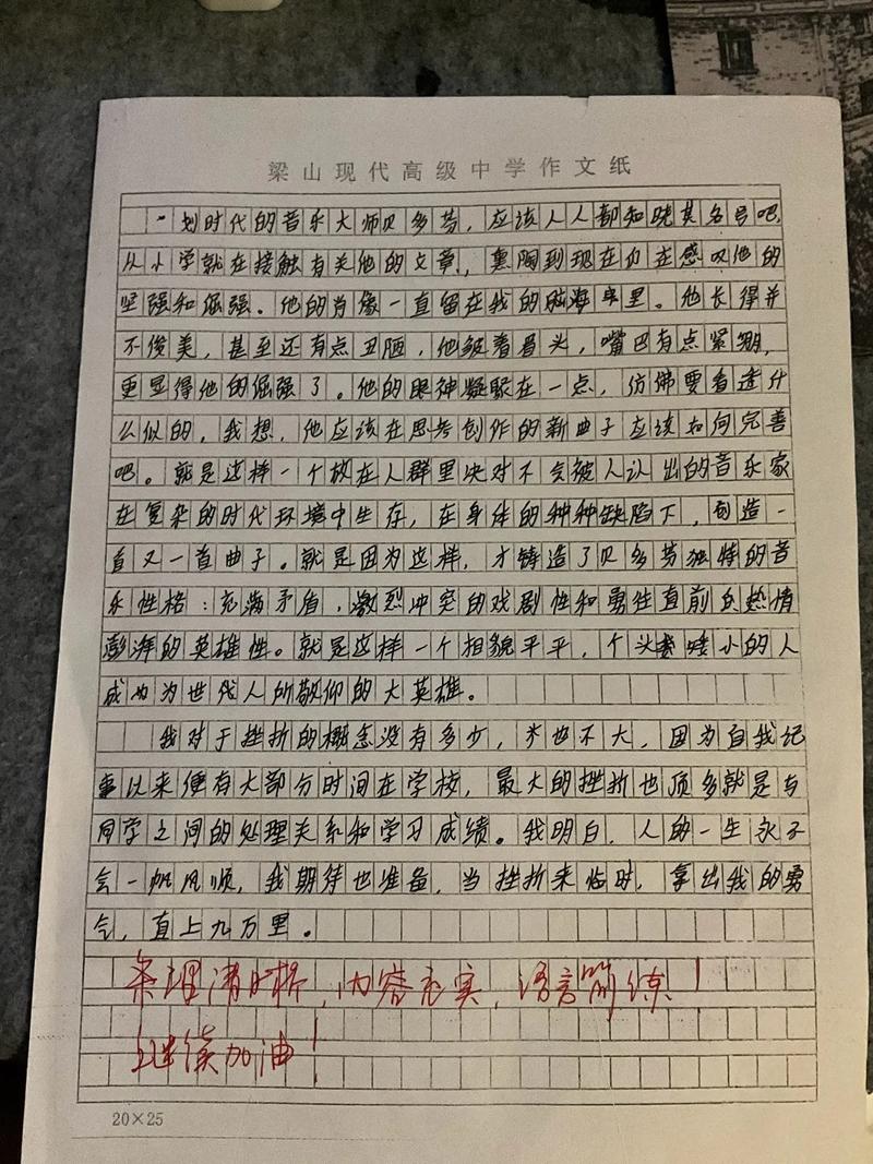 错字议论文-图3