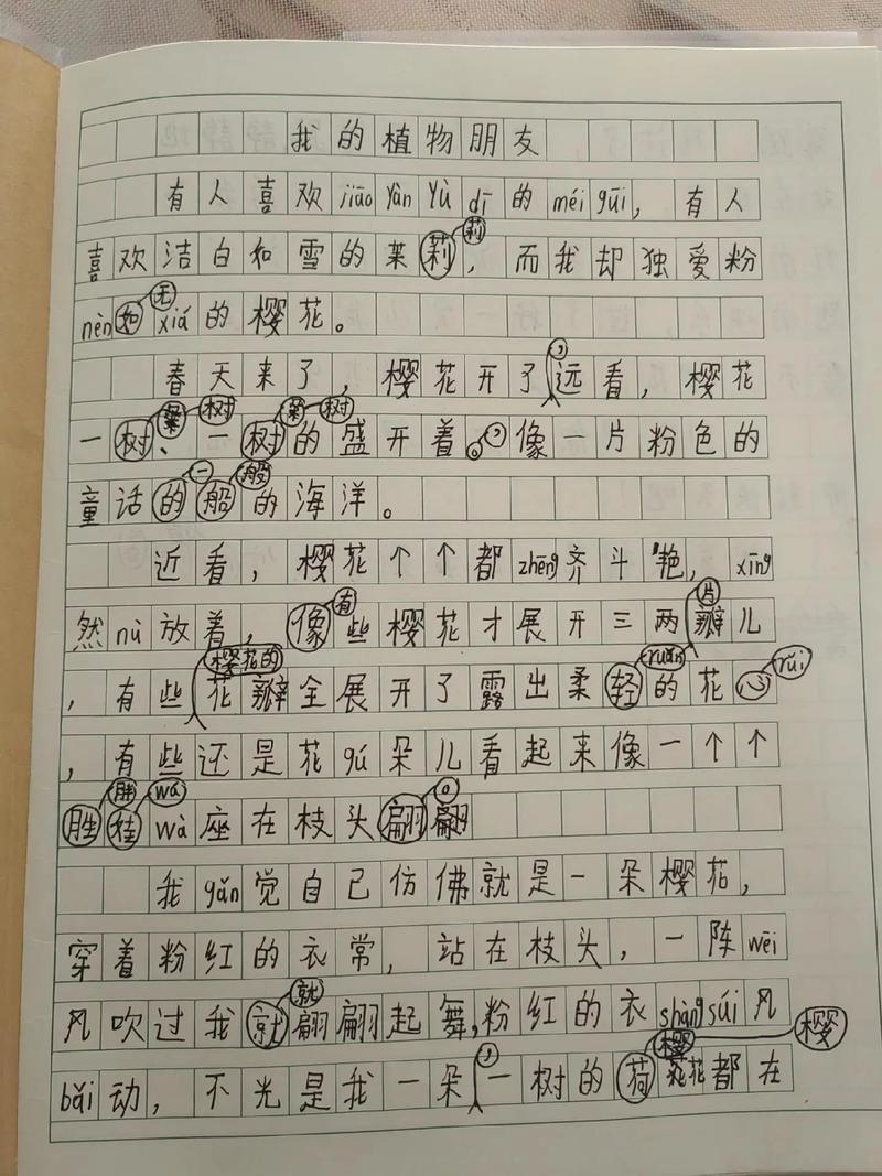 错字议论文-图2