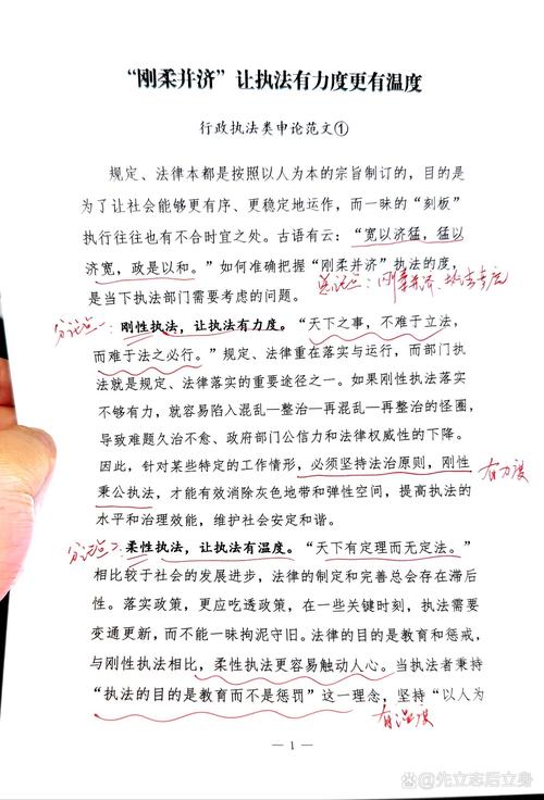 关于城管议论文-图2