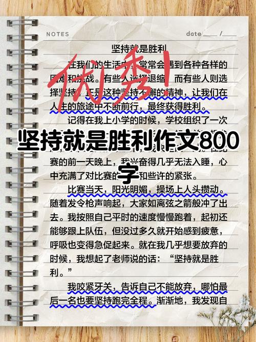 坚持何以创造奇迹？-图3