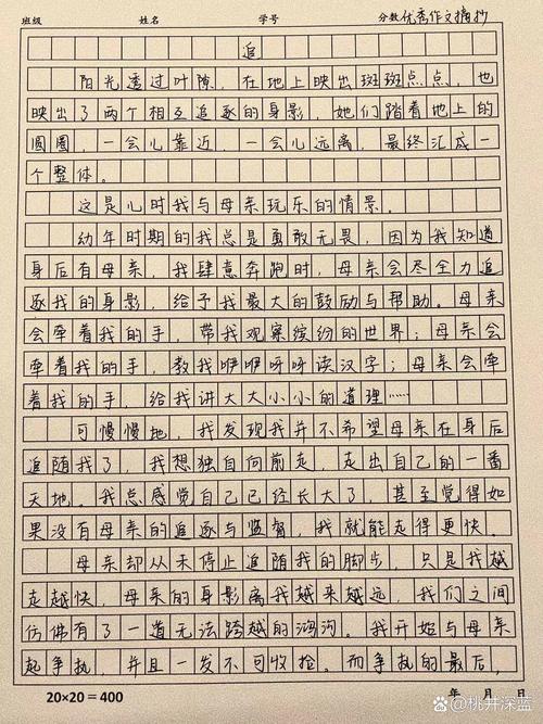 以追赶为话题的议论文-图3