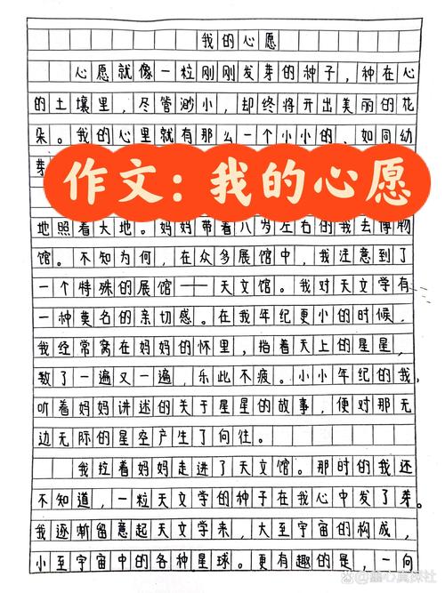 愿望的议论文-图3