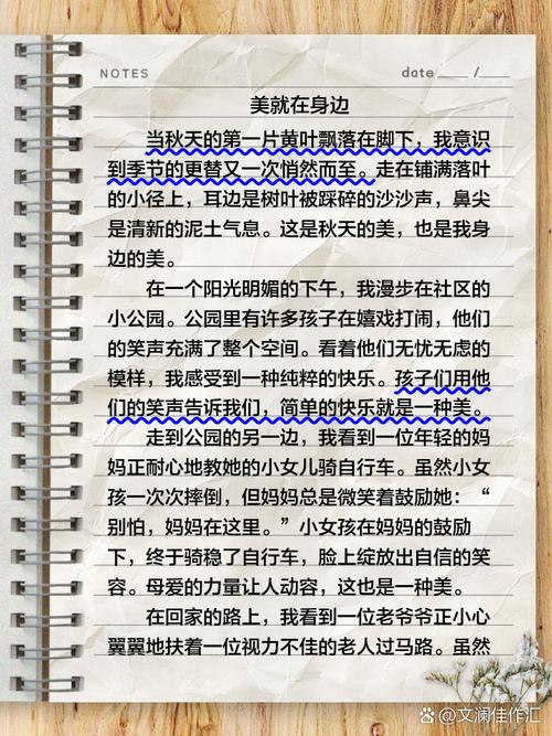 外在美和内在美议论文-图2 外在美和内在美议论文-图2