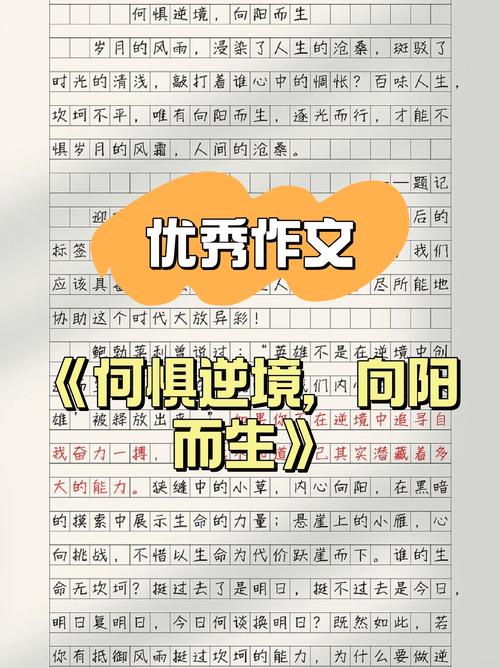 有关逆境的议论文素材-图3