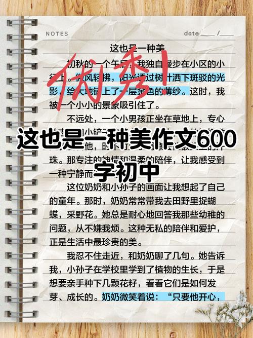 平凡为何也是一种美？-图3