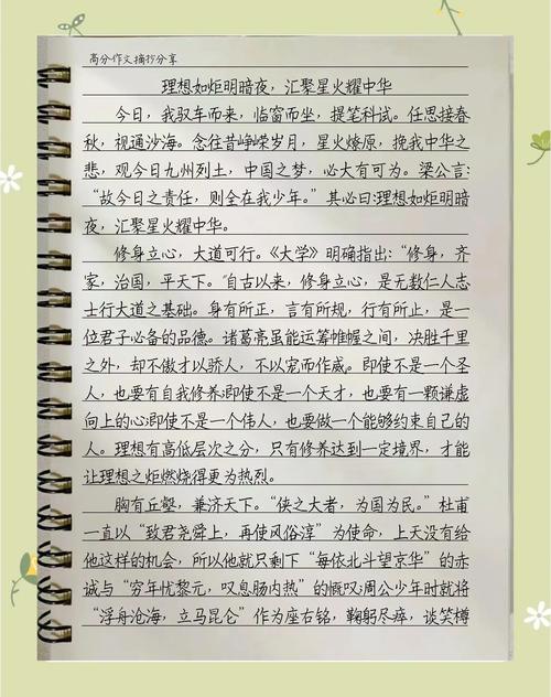 理想何以照亮现实之路？-图1