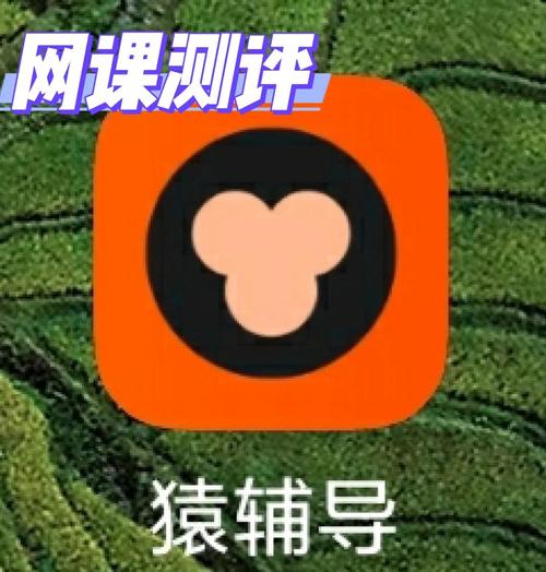 王毅舟猿辅导-图1