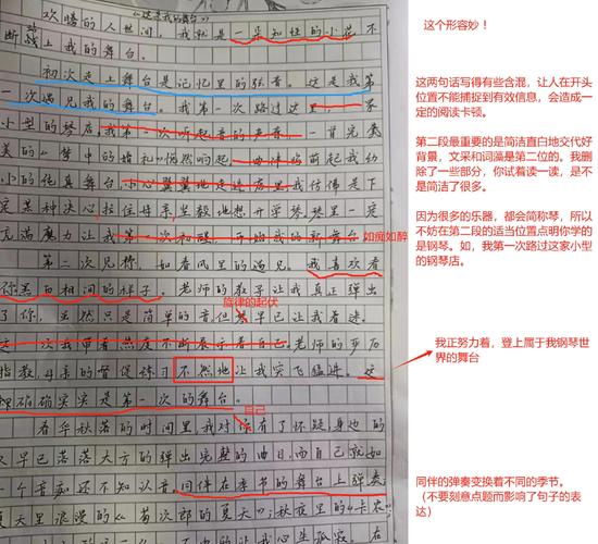 议论文旁批有何妙用？-图1