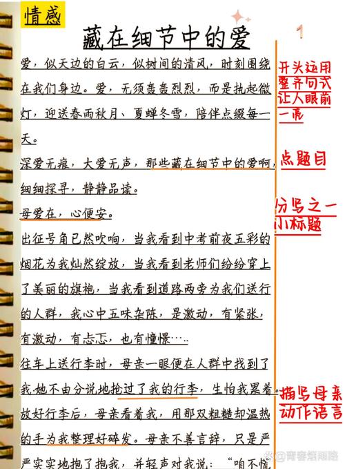 议论文 总分总-图2