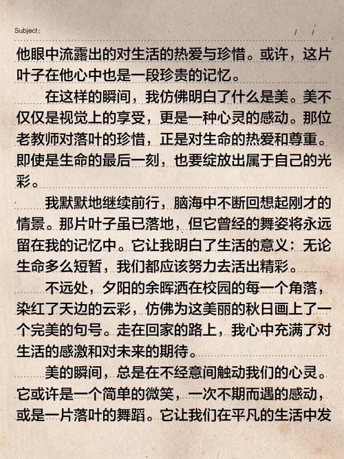 真正的美，究竟藏在哪里？-图2