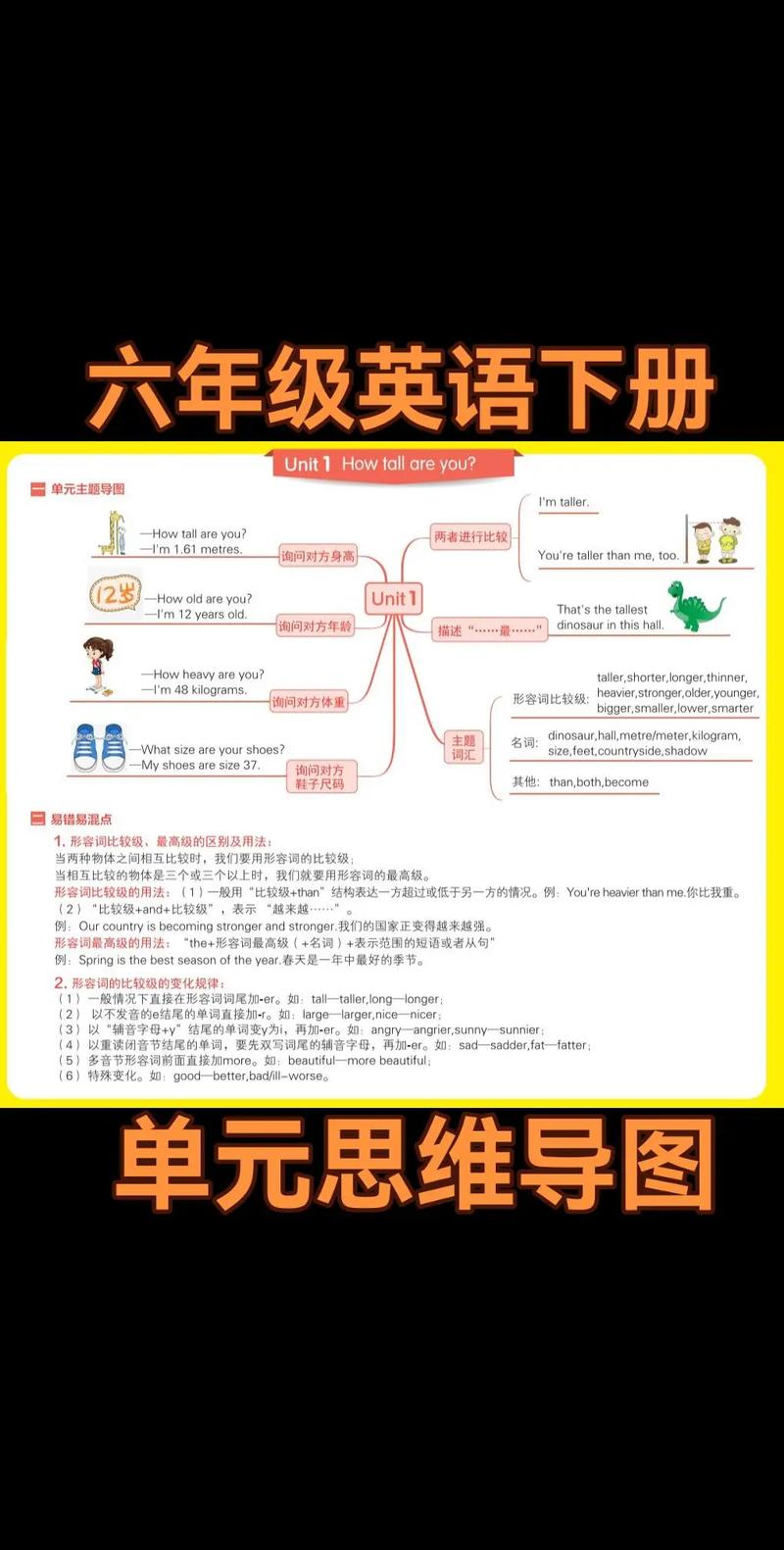 六年级下册英语辅导怎么学更高效？-图3