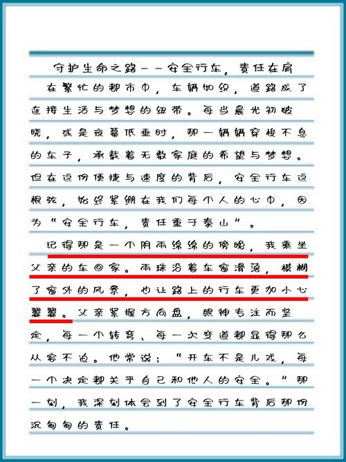 安全与责任的议论文-图2