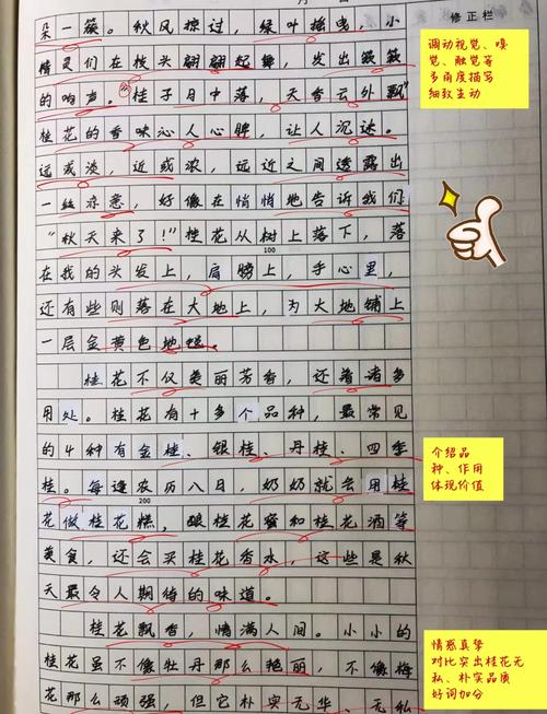 批改辅导总结，如何提升辅导效果？-图1