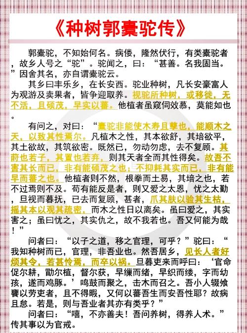 种树郭橐驼传议论文-图3 种树郭橐驼传议论文-图3