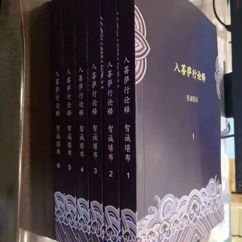 生西法师入行论辅导有何精妙开示?-图1 生西法师入行论辅导有何精妙开示?-图1