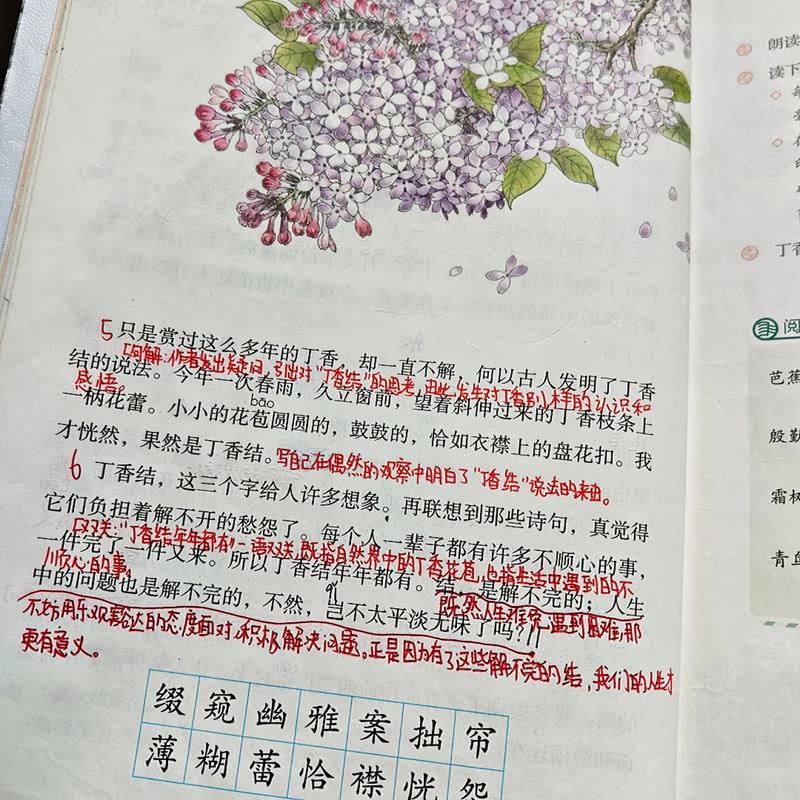 丁香结辅导,为何成为学生与家长的解题焦虑解药?-图1 丁香结辅导,为何成为学生与家长的解题焦虑解药?-图1