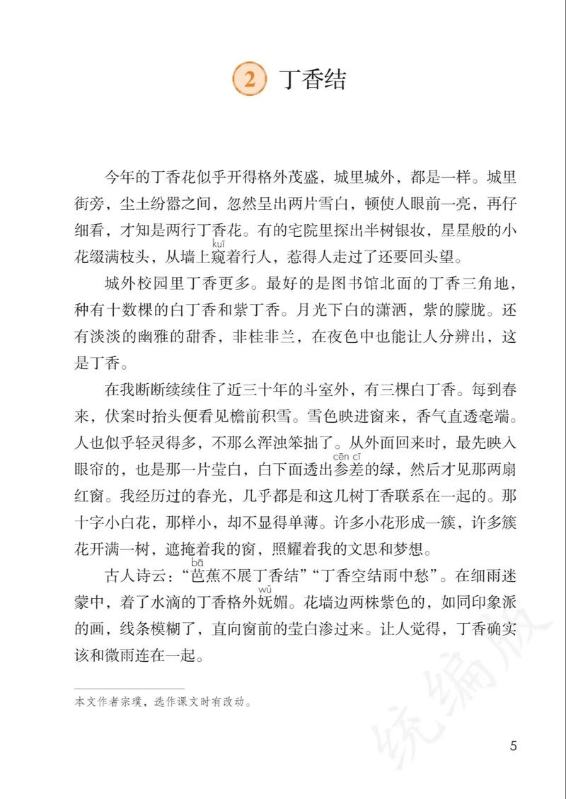 丁香结辅导，为何成为学生与家长的解题焦虑解药？-图2