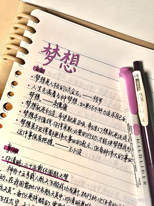 梦想如何照亮人生前路?-图3 梦想如何照亮人生前路?-图3