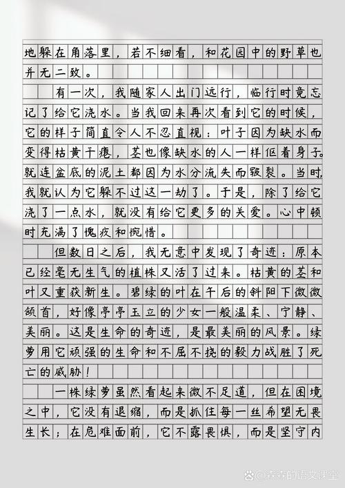 绿叶何以衬红花?甘做绿叶的价值何在?-图1 绿叶何以衬红花?甘做绿叶的价值何在?-图1