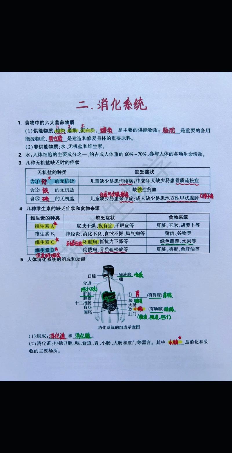 七年级生物辅导-图2 七年级生物辅导-图2