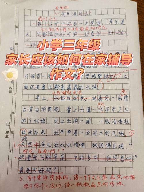 三年级作文辅导,家长该从何入手?-图1 三年级作文辅导,家长该从何入手?-图1