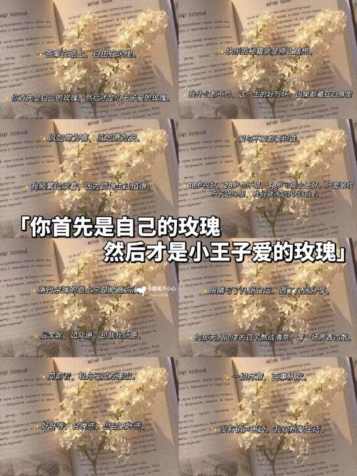 玫瑰为何是小王子的永恒羁绊？-图1