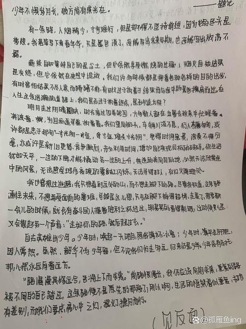 探索与追求议论文-图2