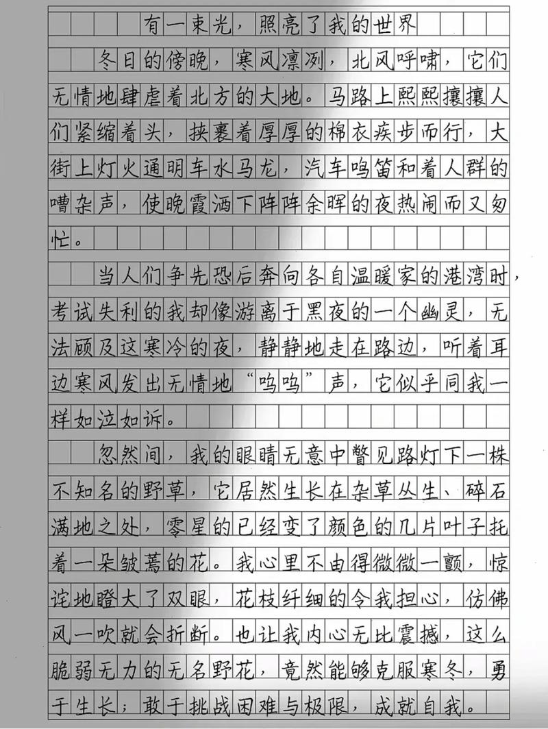 我的世界 议论文-图3 我的世界 议论文-图3