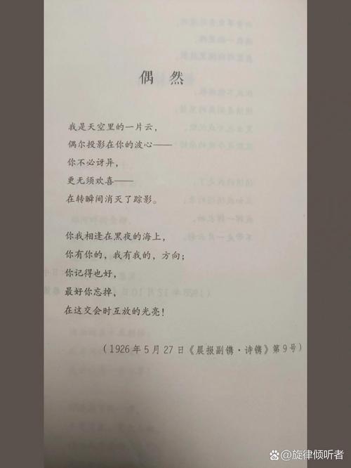 偶然与必然议论文-图1