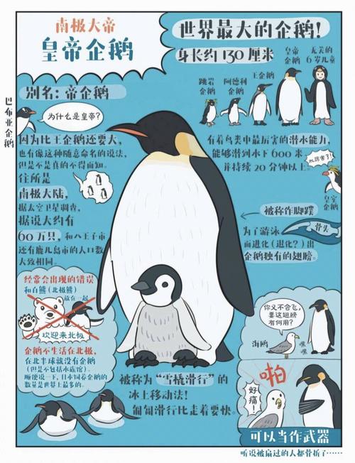 企鹅辅导是真的吗-图1