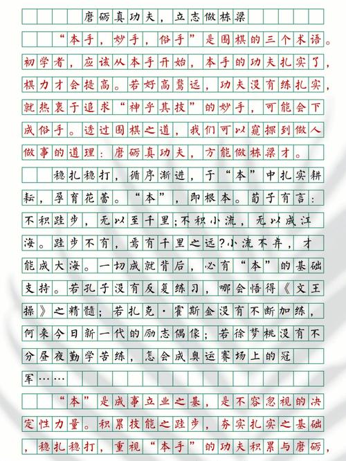 中国武术的议论文-图2