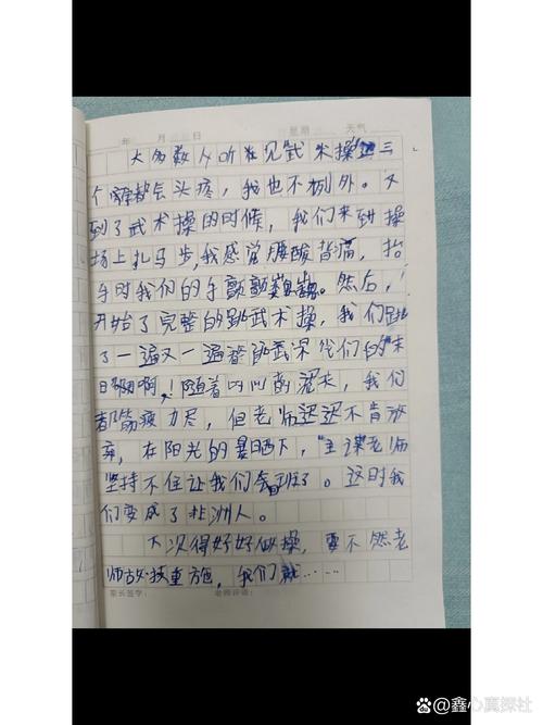 中国武术的议论文-图3