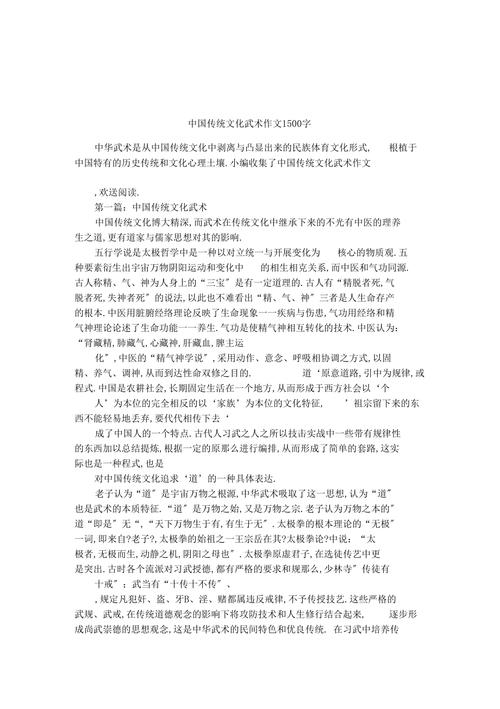 中国武术的议论文-图1