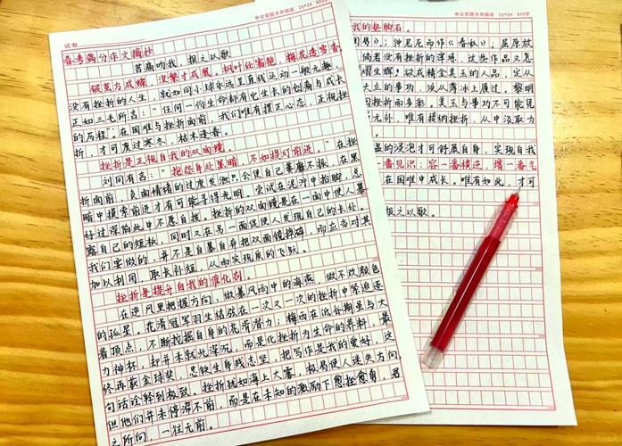 宁为玉碎不为瓦全议论文-图2