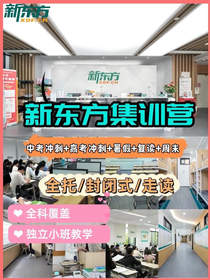 新东方考博辅导班如何高效备考？-图3