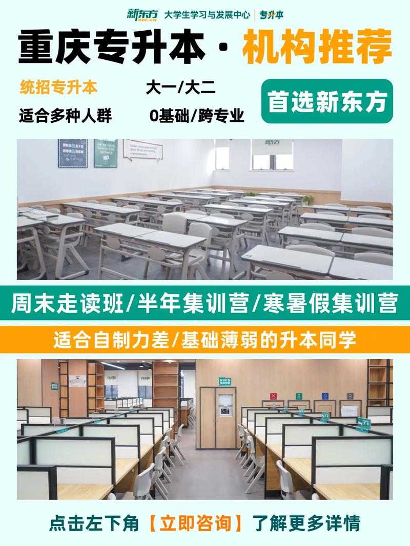 新东方考博辅导班如何高效备考？-图2