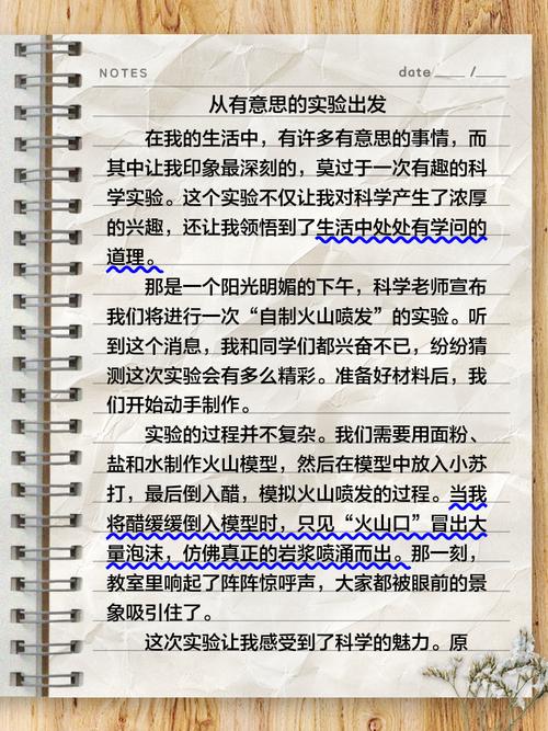 从终点出发议论文-图2 从终点出发议论文-图2