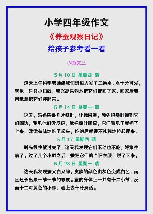 蚕的奉献精神，我们该如何传承？-图1