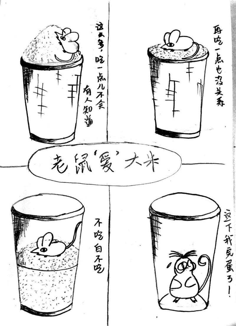老鼠掉米缸议论文-图2