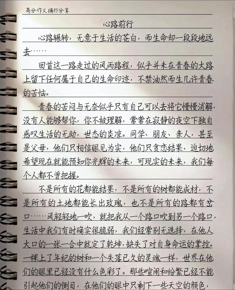 跟着心走议论文-图2