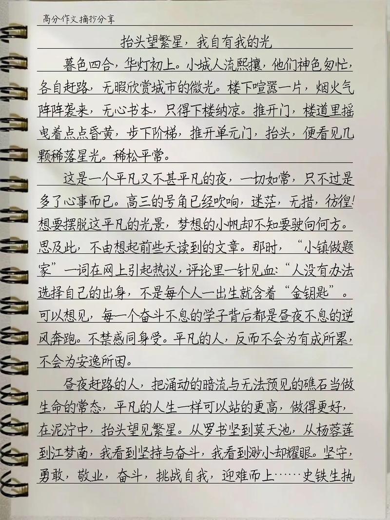 拾荒者议论文-图1