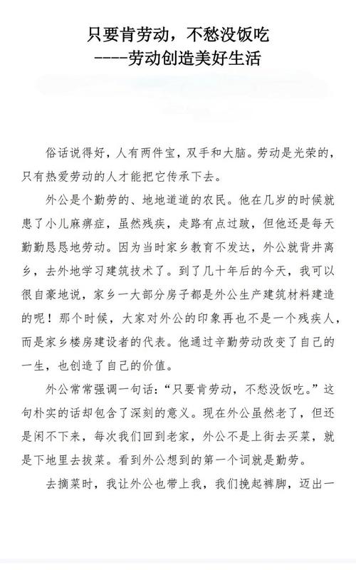 拾荒者议论文-图2