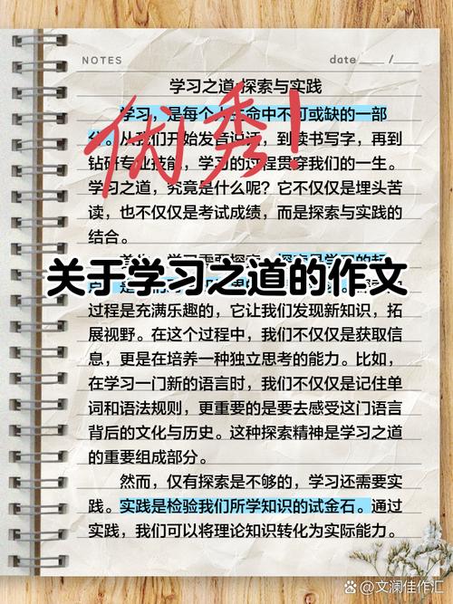 小议学习议论文-图2