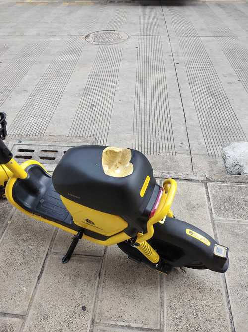 小黄车被损坏议论文-图1