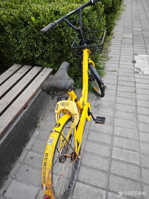 小黄车被损坏议论文-图2