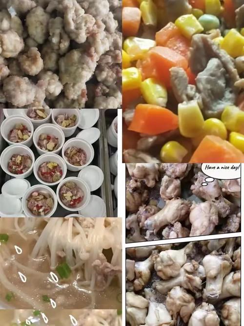 高州辅导班哪家好？怎么选？-图3