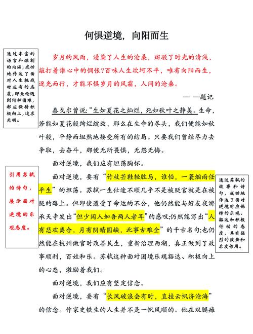 向阳之路，何为方向？-图1