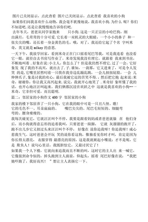 狗为何成人类最忠诚伙伴？-图1