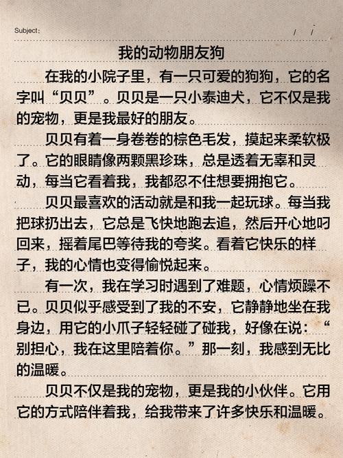 狗为何成人类最忠诚伙伴？-图3