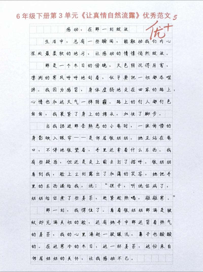 真情何为议论文之魂？-图2